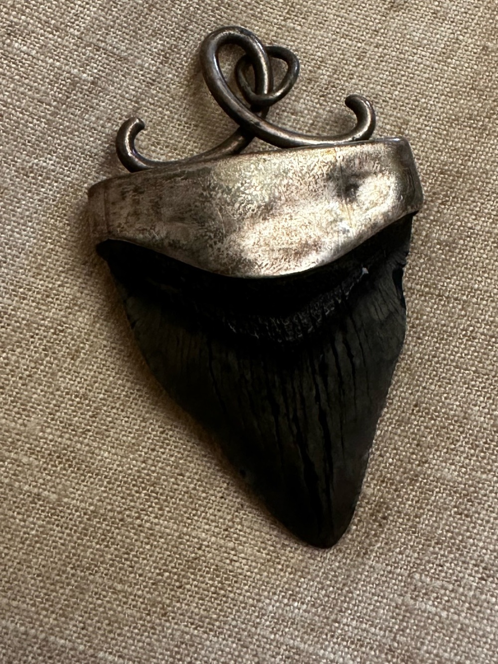 Megalodon Black Shark Tooth Pendant with Silver-Tone Cap